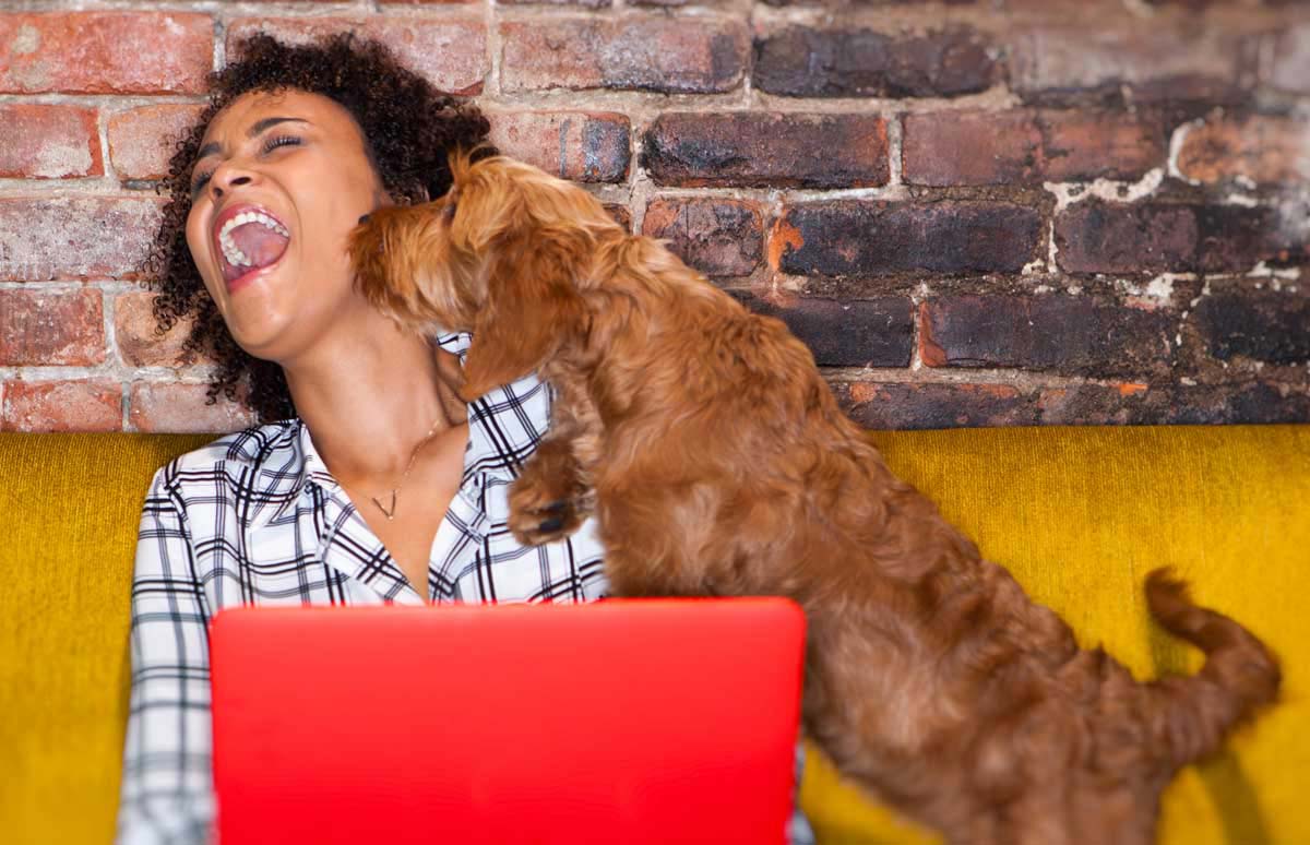 A dog owner and her best friend purchasing a memail address together.